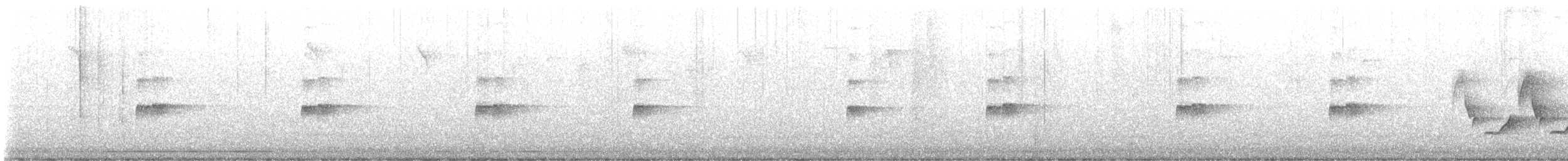 Troglodyte de Caroline - ML642818660