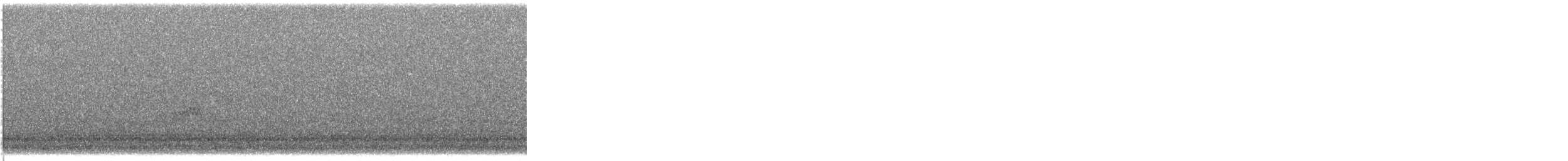 Bécasseau minuscule - ML642819007