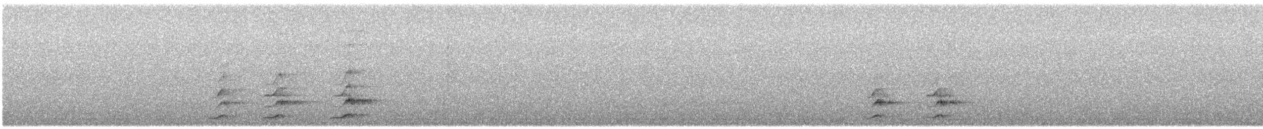 Chouette hulotte - ML642819908