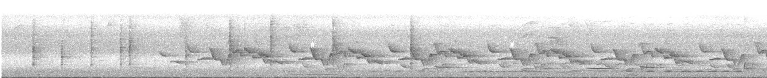 Rufous-and-white Wren - ML642821698