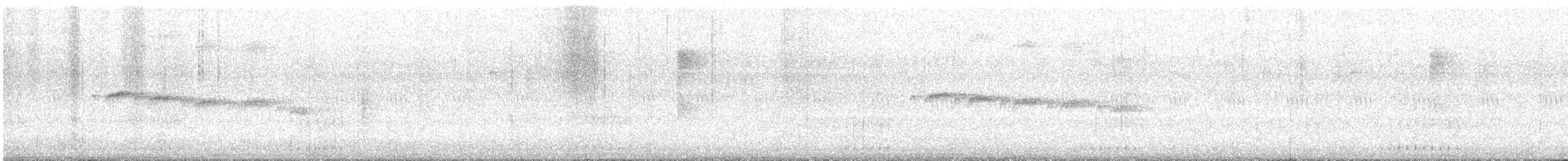Squamate Antbird - ML642821818