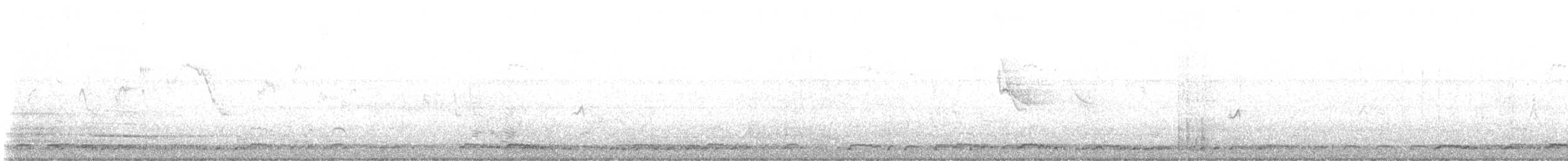 Zebra Dove - ML642822217