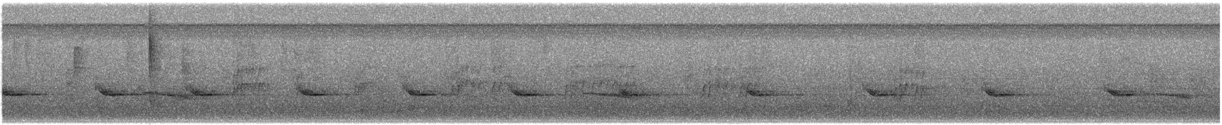 Carolinazaunkönig - ML642822956