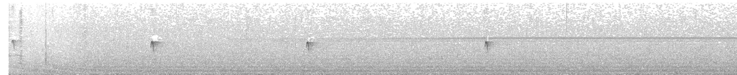 Schwarzkopf-Phoebetyrann - ML642824042