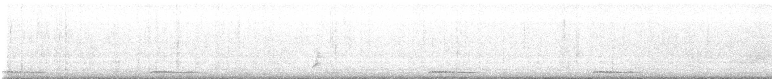 Zebra Dove - ML642825251