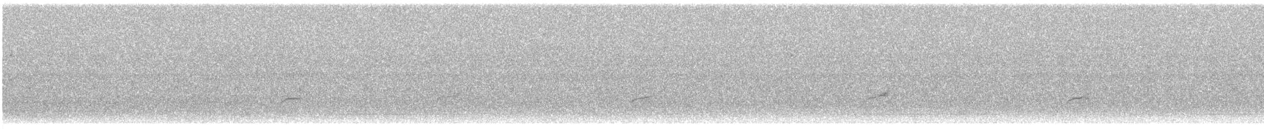 Catharus sp. - ML642826271