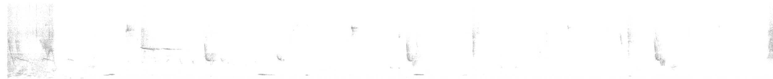 Bran-colored Flycatcher - ML642826604