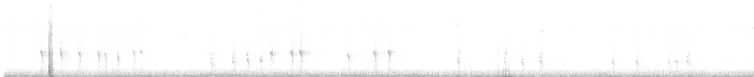 Loxia sp. - ML642827566