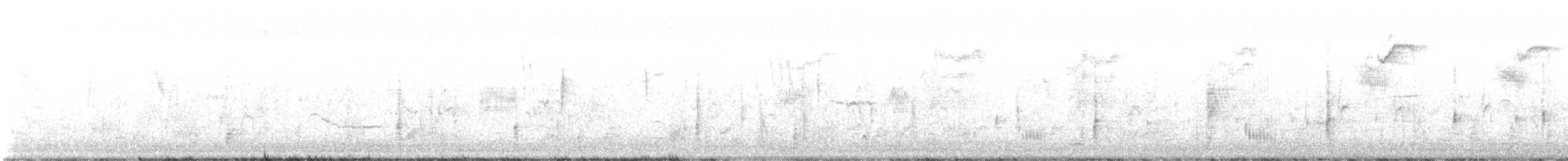 Say's Phoebe - ML642828574