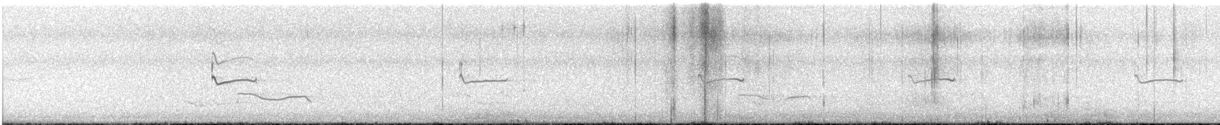 Black-bellied Plover - ML642829075