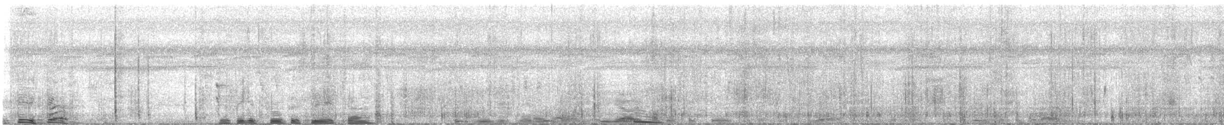 Мишовій тонкодзьобий - ML642829101