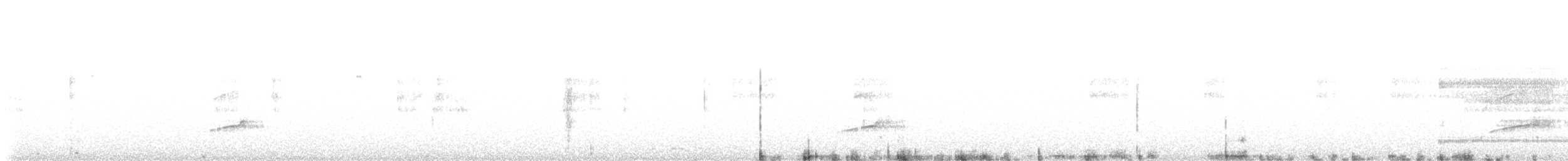 Northern Bentbill - ML642829137