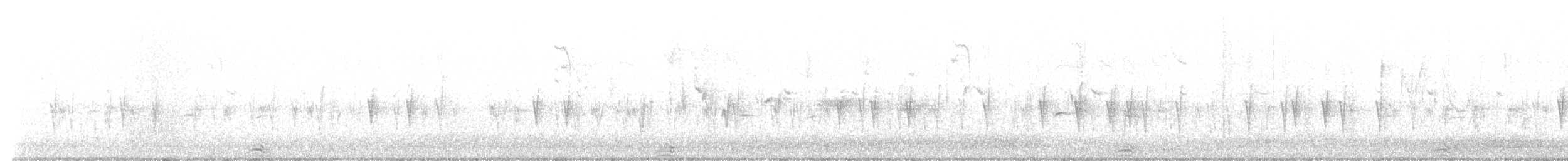 Piquituerto Común - ML642831574
