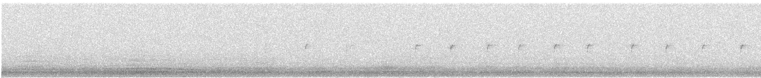Paseriforme sp. - ML642831926