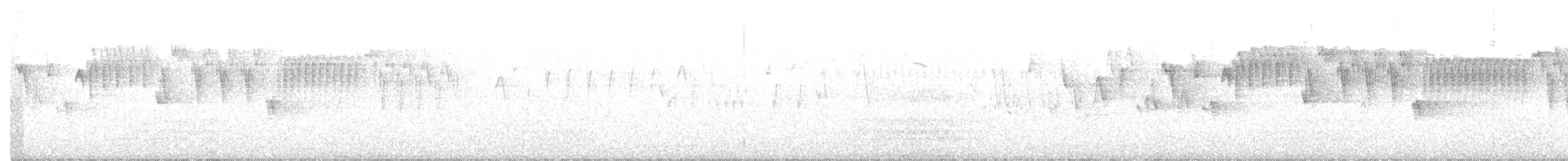 Pacific Wren - ML642832426