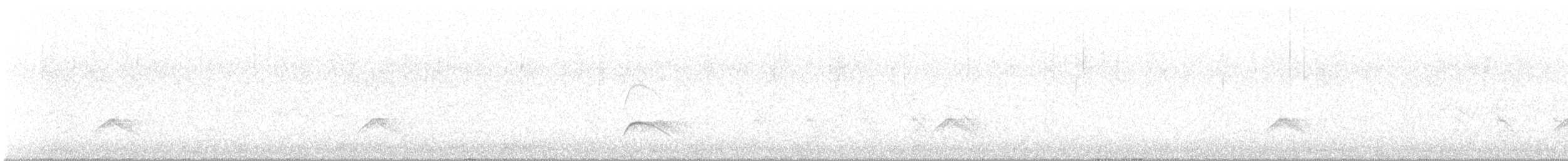 Weißkronen-Olivtyrann - ML642833193