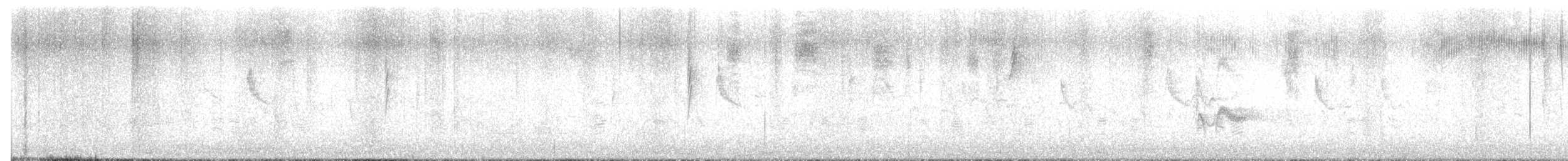 Plumbeous Vireo - ML642833838