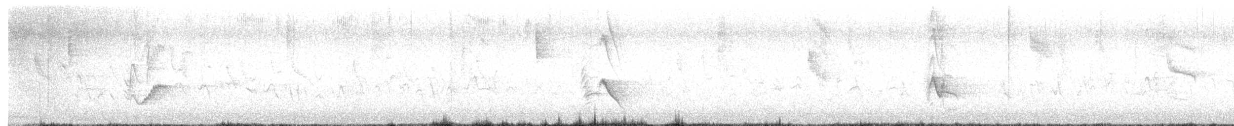 Plumbeous Vireo - ML642833878