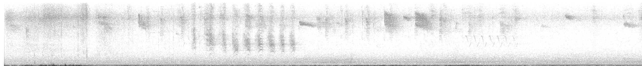 Plumbeous Vireo - ML642833976