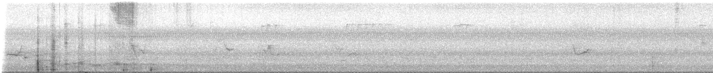 フタスジモズモドキ - ML642834691