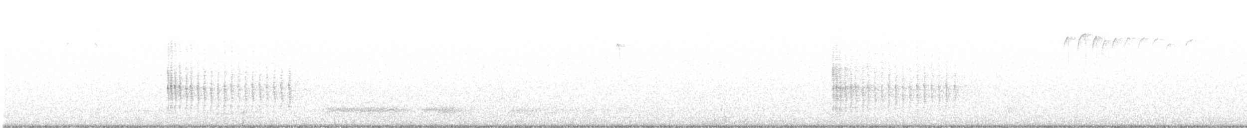 Belted Kingfisher - ML642835092