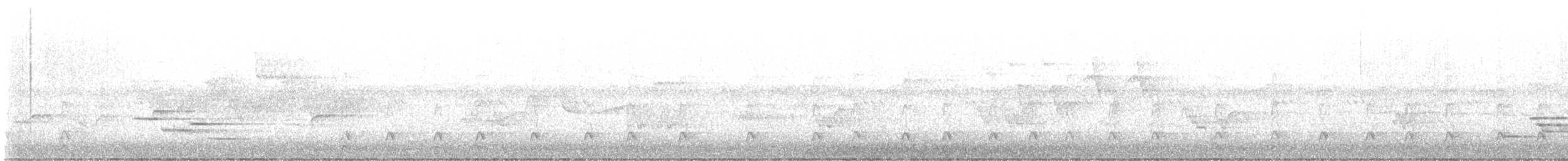 hvitbrynsvartspett - ML642835650