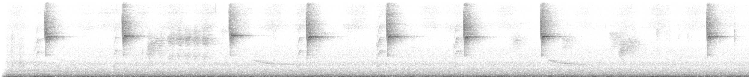 Lesser Violetear - ML642836070