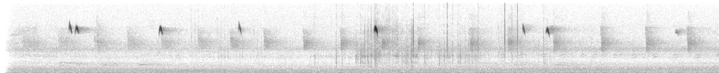 new world warbler sp. - ML642836576