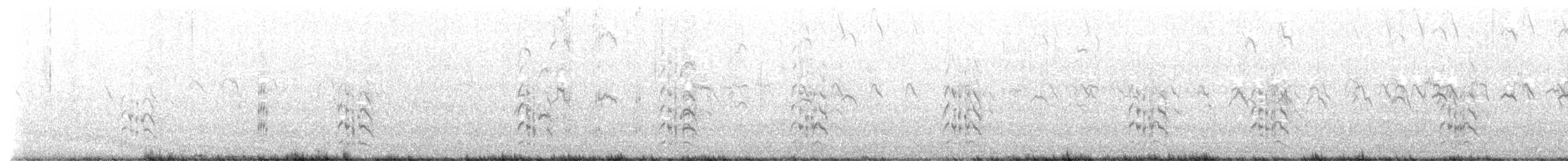Elegant Tern - ML642836847
