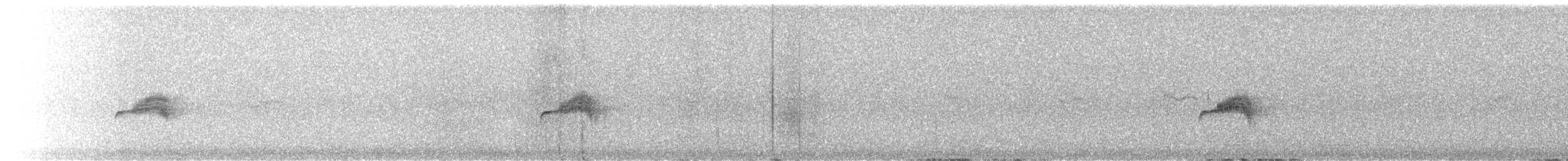 Western Wood-Pewee - ML642837340