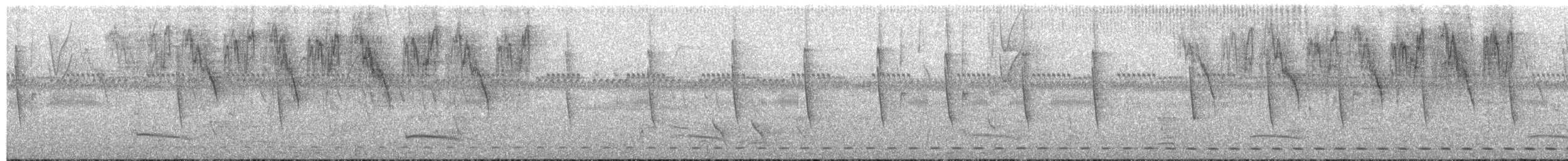 Rostkreischeule - ML64283861