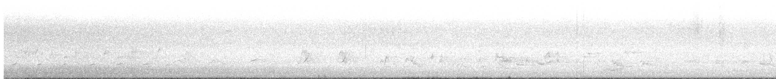Northern Mockingbird - ML642839819