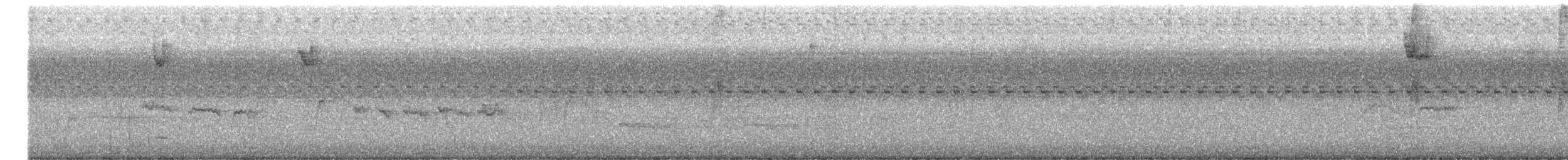 hvitstrupespurv - ML642841322
