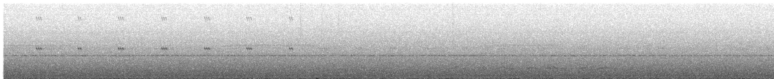 Lyre-tailed Nightjar - ML64284141