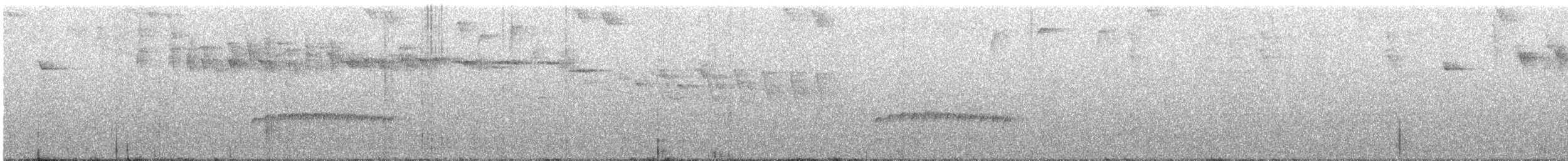 Spillmann's Tapaculo - ML642841906