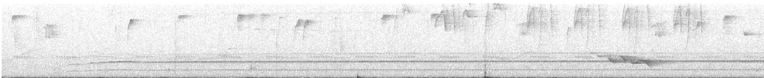 Spillmann's Tapaculo - ML642842050