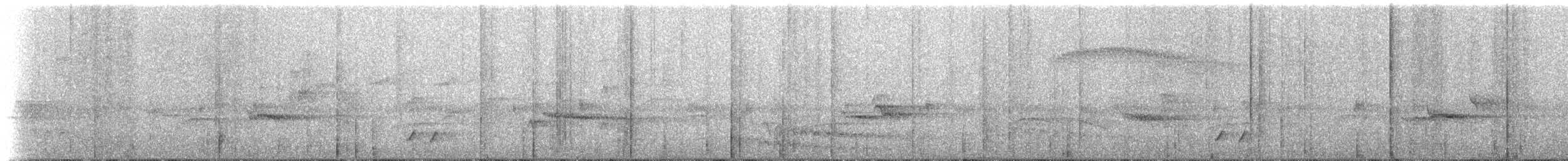 Barred Antthrush - ML642844483