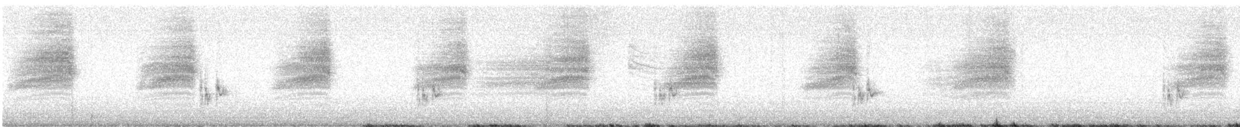 Warbling Vireo - ML642844771