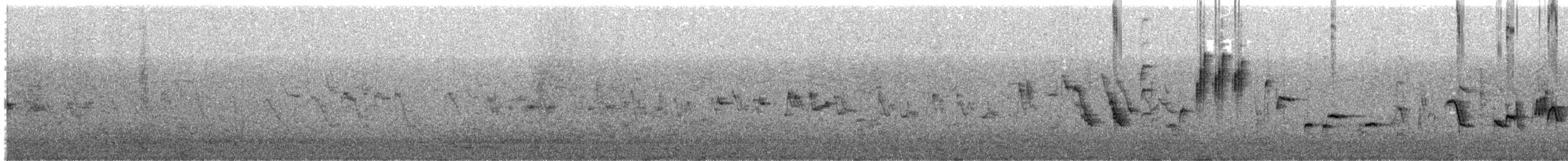 Silvereye - ML642845013