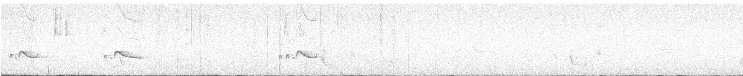 Say's Phoebe - ML642845674
