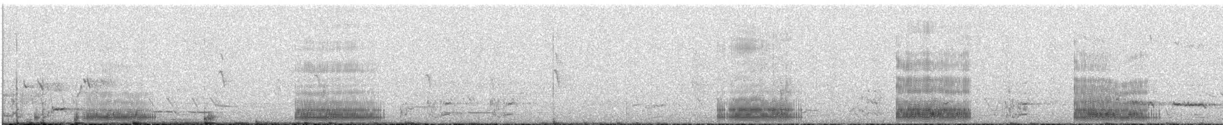 Plumed Egret - ML642846893