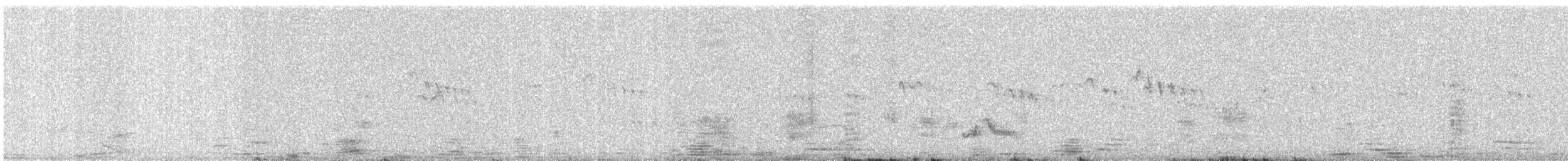 Little Swift - ML642847883