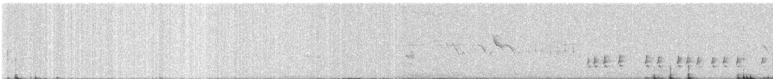 oiseau sp. - ML642848090