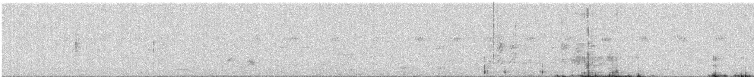 Large Gray Babbler - ML642848221