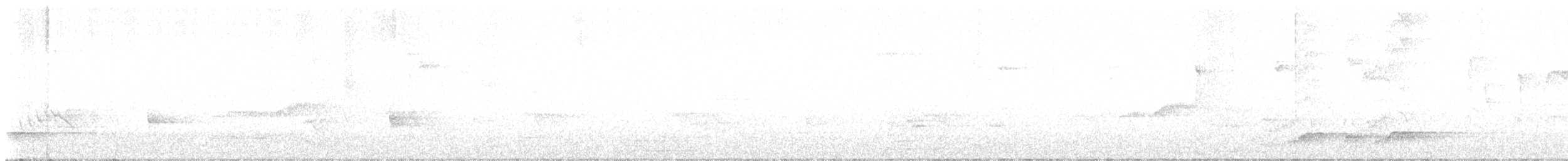 Noisy Pitta - ML642848264