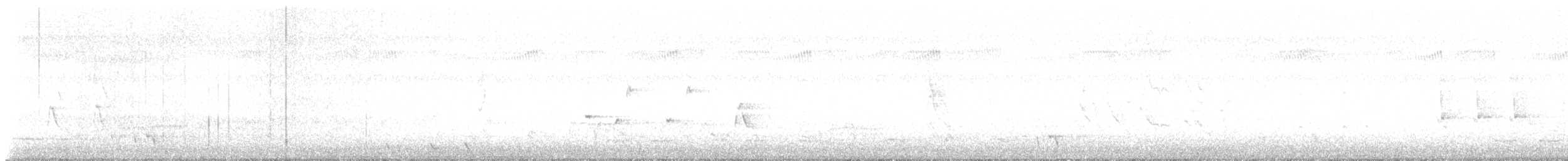 chřástal popelavý - ML642848386