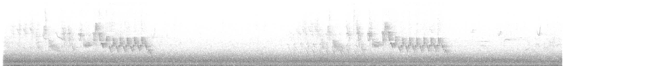 Northern House Wren (Northern) - ML642848951