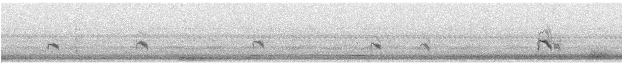 Gray-cheeked Thrush - ML642849204