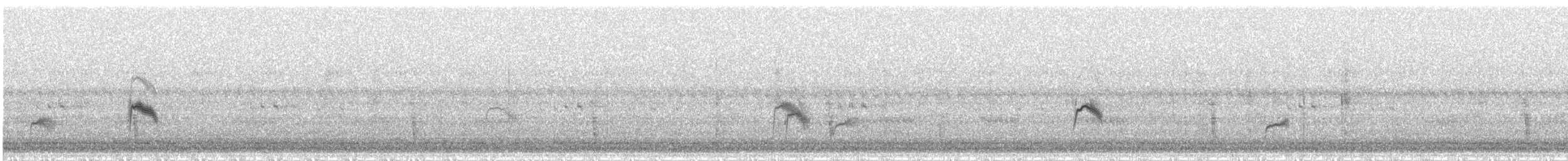 Gray-cheeked Thrush - ML642849205
