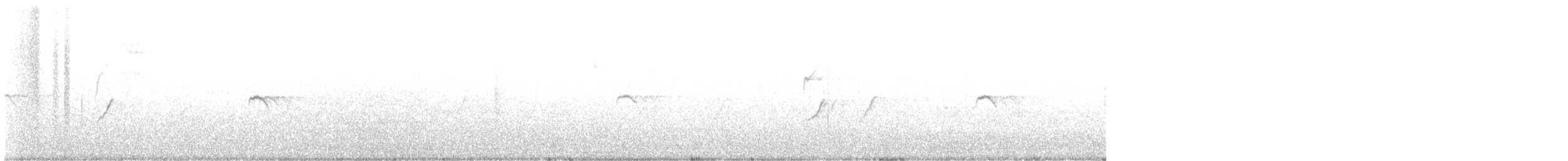 Pouillot véloce (tristis) - ML642850367
